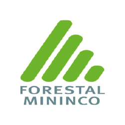 HECTOR ORTIZ INGENIERIA FORESTAL MININCO