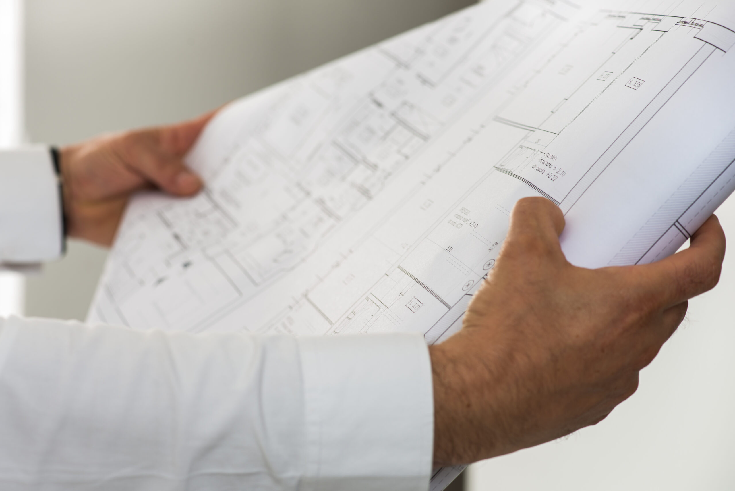Architect plant